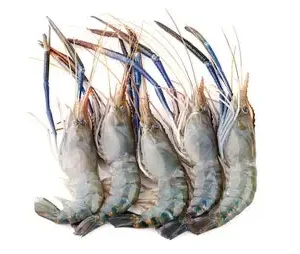 "大虾 King Prawn (500gm)